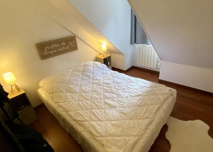 Charmant T3 A Bagneres-De-Luchon